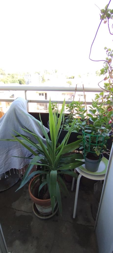 Location chambre Toulon - Photo 2