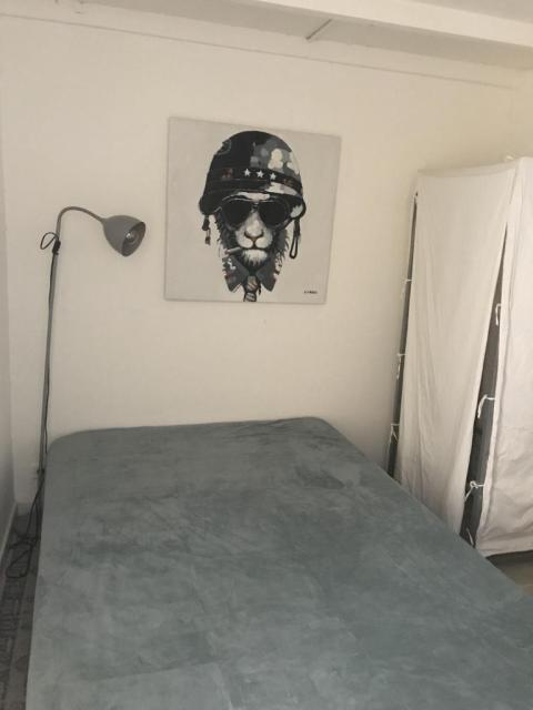 Location appartement T3 Avignon - Photo 5