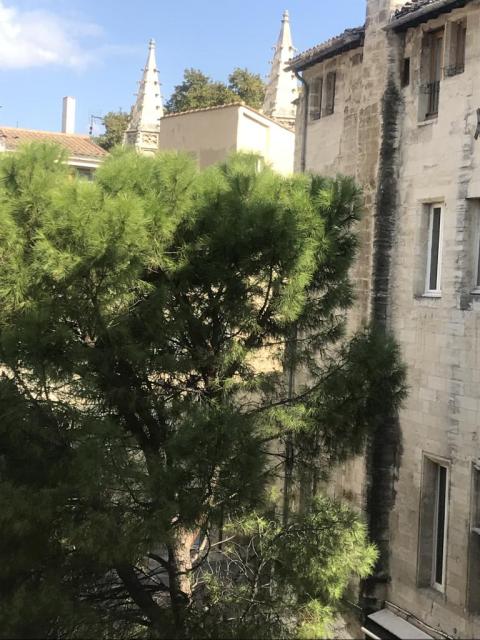 Location appartement T3 Avignon - Photo 8