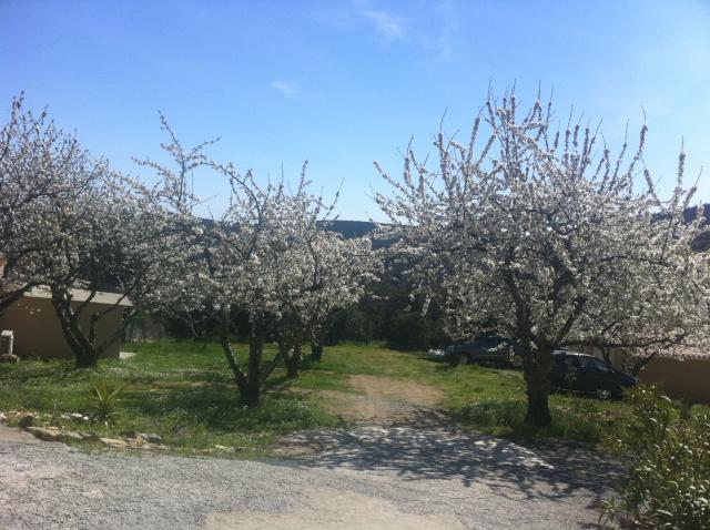 Location maison F3 Cassagnoles - Photo 9