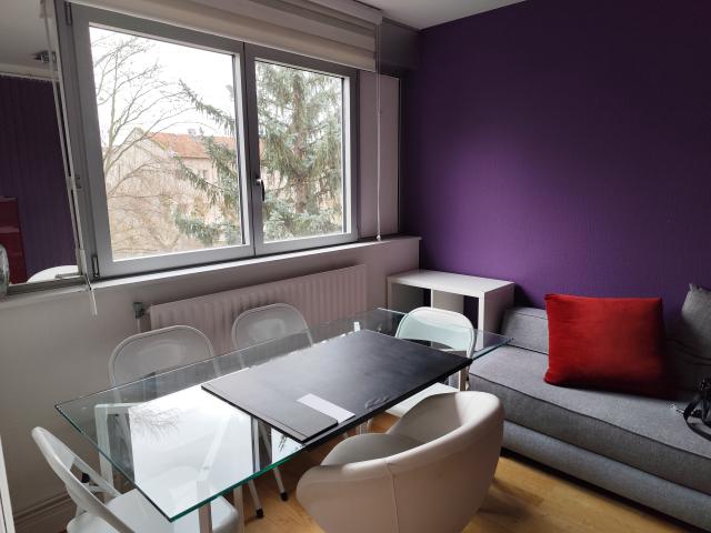 Location appartement T1 Lyon 1 - Photo 9