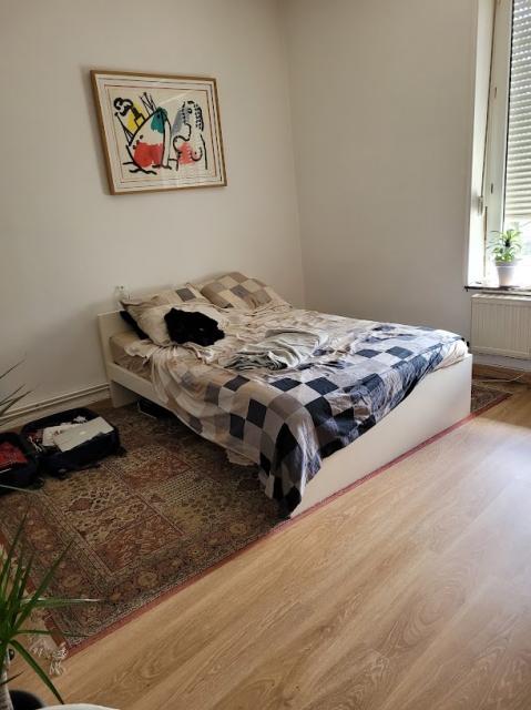 Location appartement T3 Nancy - Photo 3