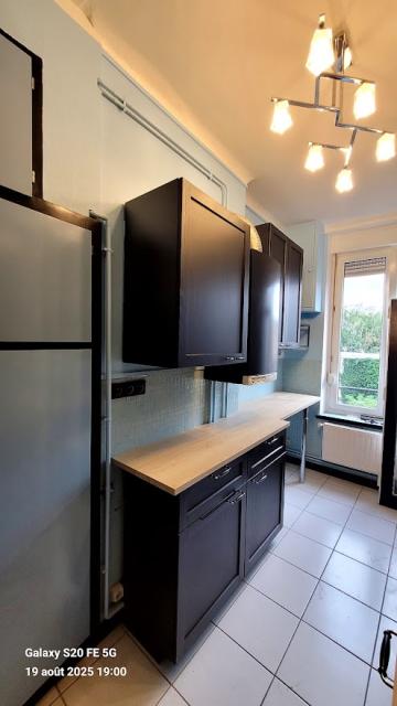 Location appartement T3 Nancy - Photo 10