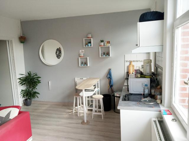Location appartement T2 Lille - Photo 4