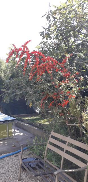 Location chambre Nice - Photo 8