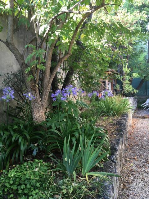 Location chambre Nice - Photo 9