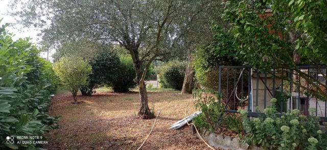 Location maison F5 Cornebarrieu - Photo 2