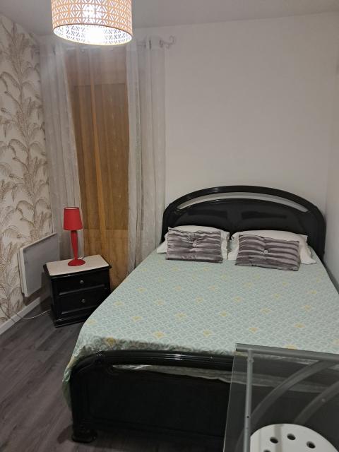 Location chambre Lyon 7 - Photo 4
