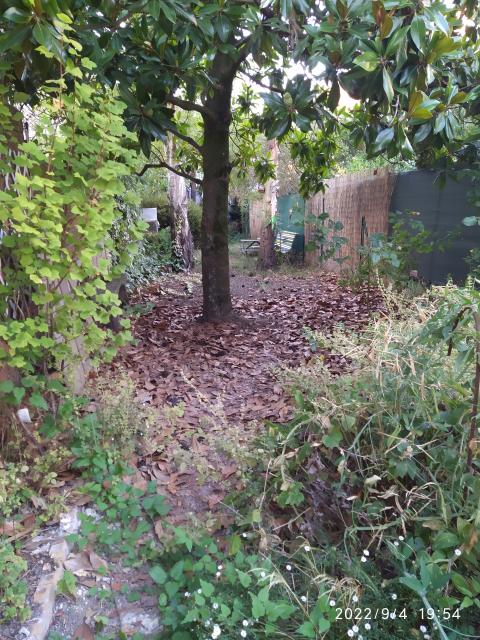 Location maison F3 Bagneux - Photo 4