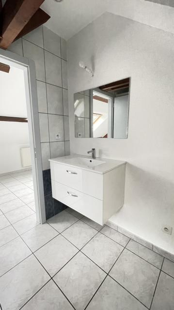 Location appartement T2 Mulhouse - Photo 3