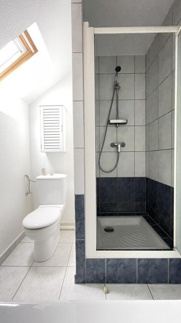 Location appartement T2 Mulhouse - Photo 4