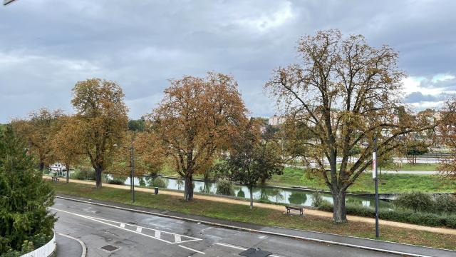 Location appartement T2 Mulhouse - Photo 6