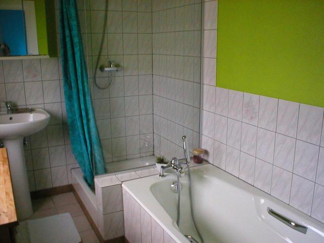 Location appartement T2 Colmar - Photo 3