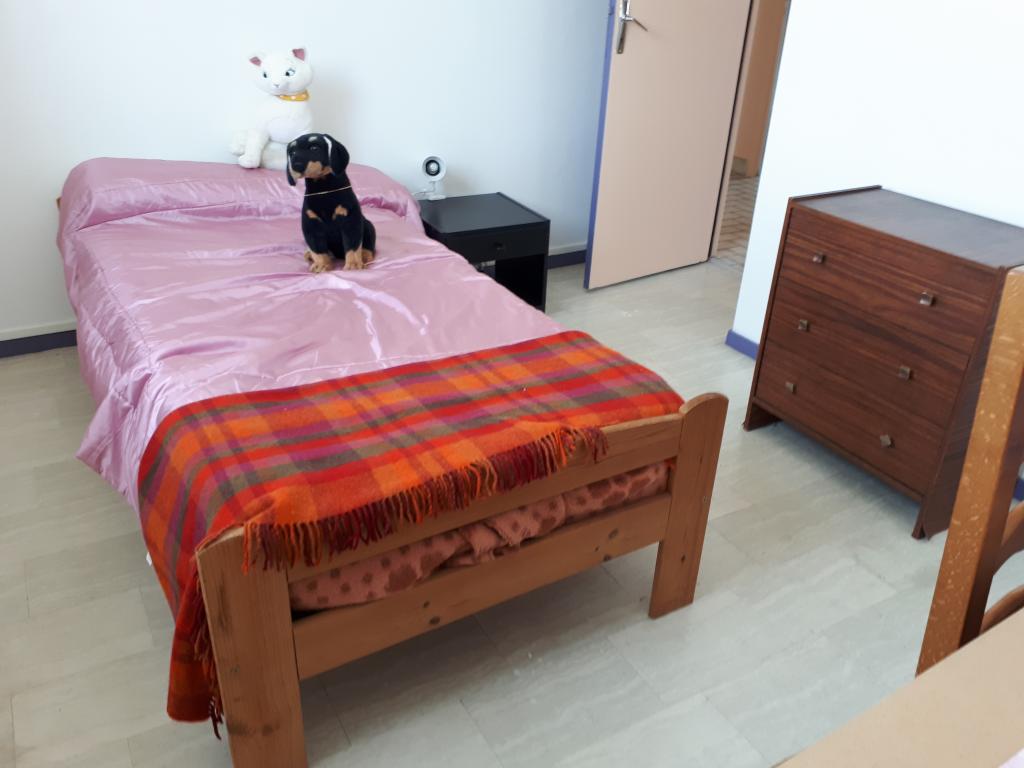 Location chambre Grenoble - Photo 1