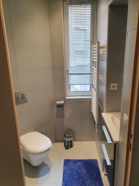 Location appartement T3 Mulhouse - Photo 3