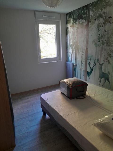 Location appartement T3 Bourg en Bresse - Photo 8