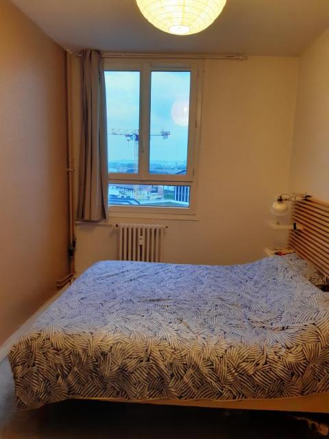 Location appartement T3 Lyon 7 - Photo 3