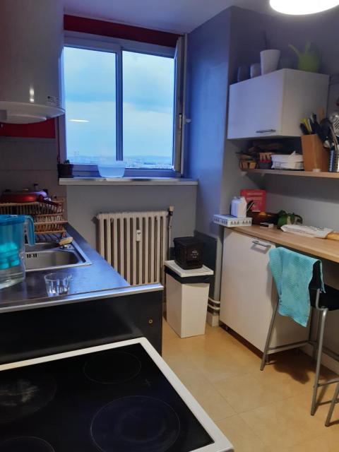 Location appartement T3 Lyon 7 - Photo 5