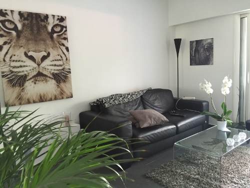 Location maison F3 La Gaude - Photo 4