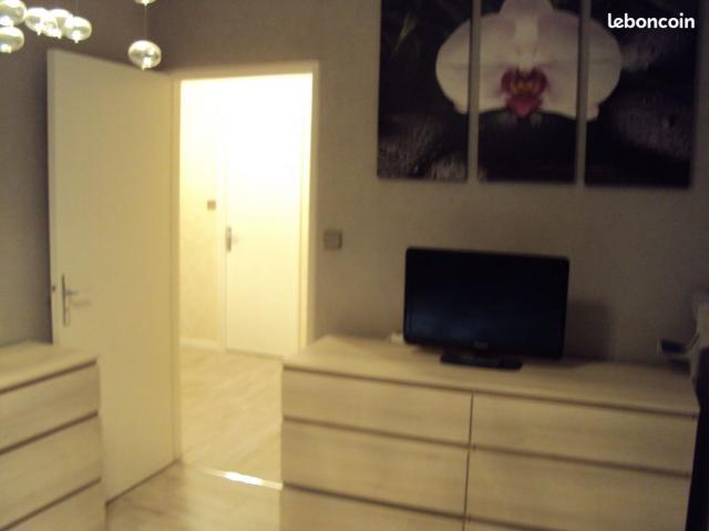 Location appartement T3 Colmar - Photo 9