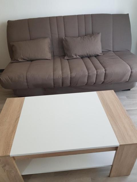 Location appartement T2 Strasbourg - Photo 4