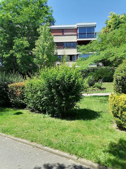 Location chambre Fontenay le Fleury - Photo 8