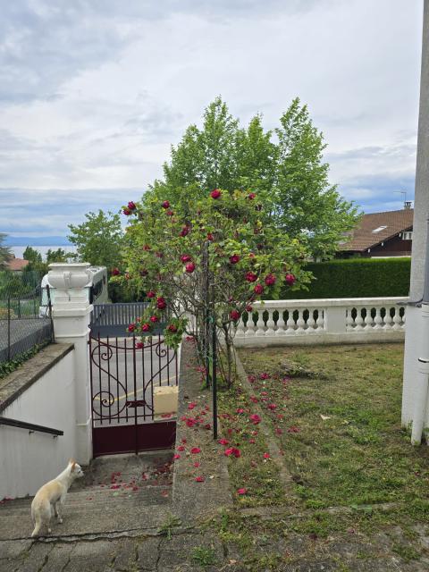 Location appartement T2 Evian les Bains - Photo 2