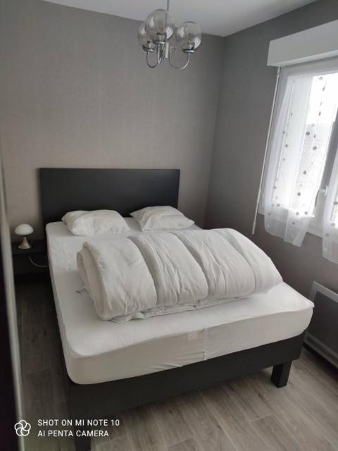Location appartement T2 Limoges - Photo 5