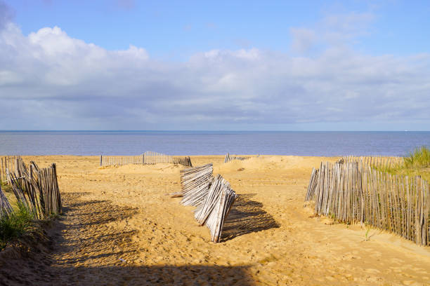 Location appartement T2 Chatelaillon Plage - Photo 7