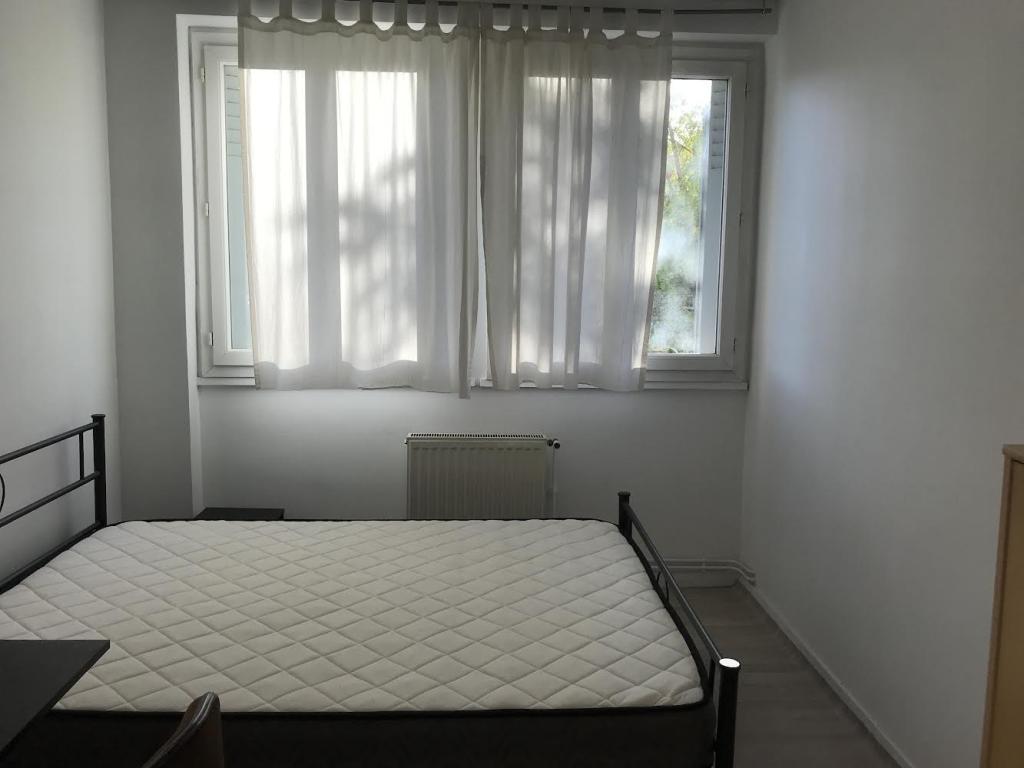 Location chambre Toulouse - Photo 1
