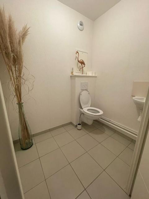 Location appartement T3 Woippy - Photo 7