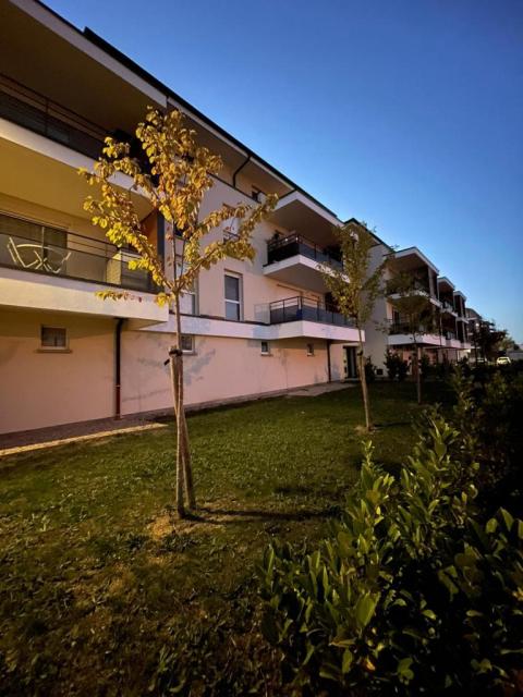Location appartement T3 Woippy - Photo 9