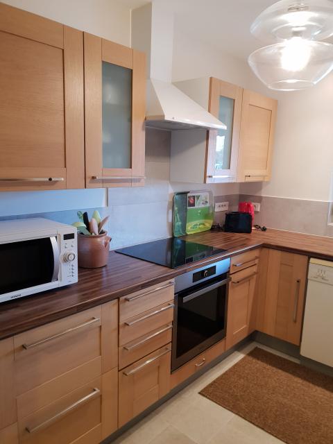 Location appartement T2 Ottmarsheim - Photo 4