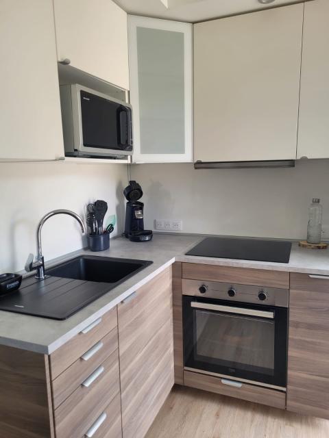 Location appartement T2 Villeneuve Loubet - Photo 3