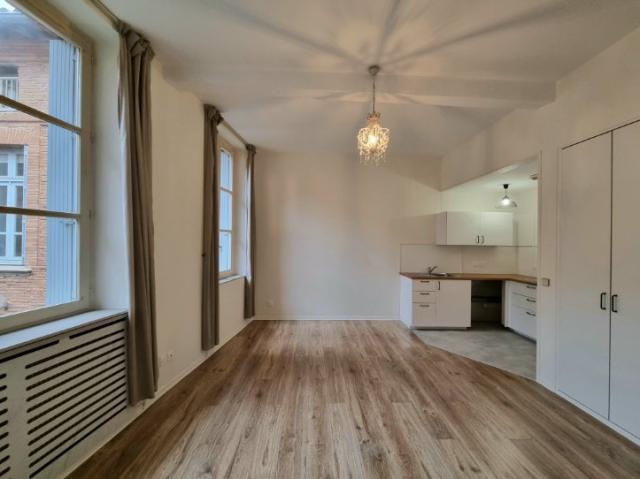 Location appartement T2 Toulouse - Photo 8
