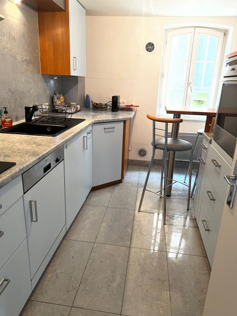 Location appartement T3 Strasbourg - Photo 3