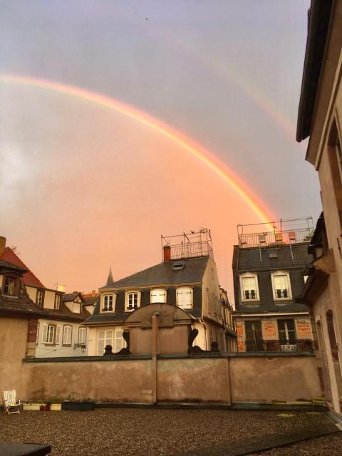 Location appartement T3 Strasbourg - Photo 6