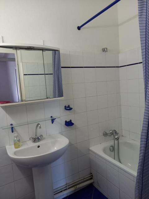 Location appartement T1 Lyon 7 - Photo 3