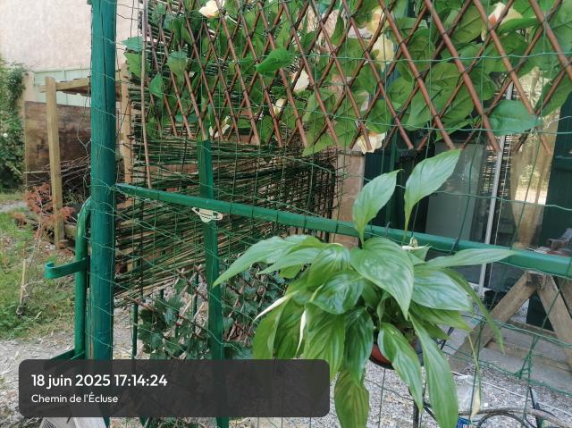 Location maison F2 Montferrand - Photo 7