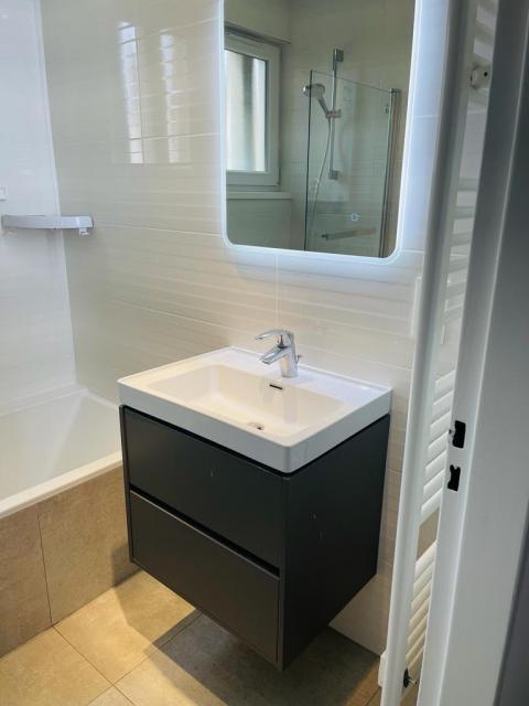 Location appartement T3 Schiltigheim - Photo 2