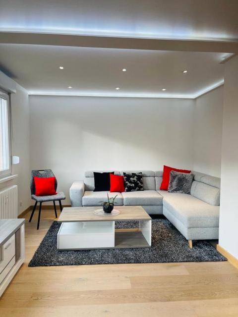Location appartement T3 Schiltigheim - Photo 3