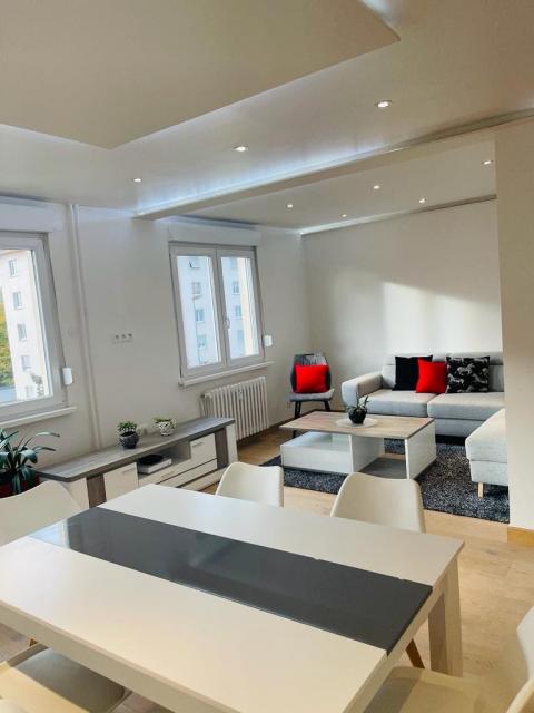 Location appartement T3 Schiltigheim - Photo 5