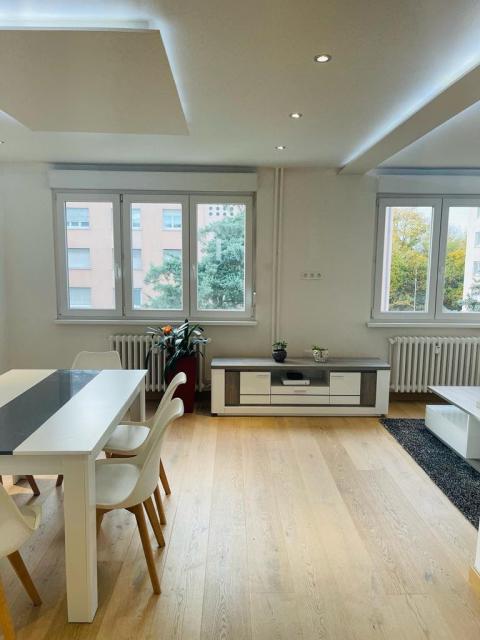 Location appartement T3 Schiltigheim - Photo 7
