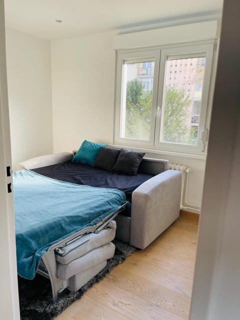 Location appartement T3 Schiltigheim - Photo 9
