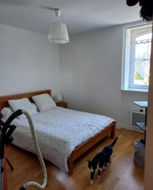 Location appartement T2 Meung sur Loire - Photo 5