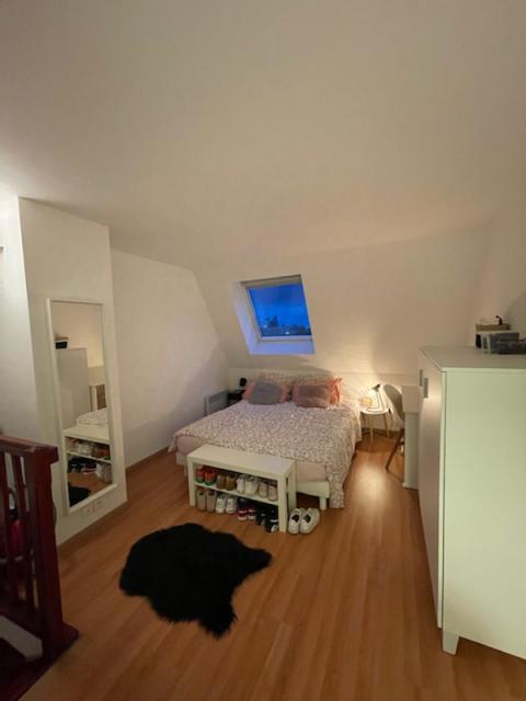 Location appartement T2 Lille - Photo 2