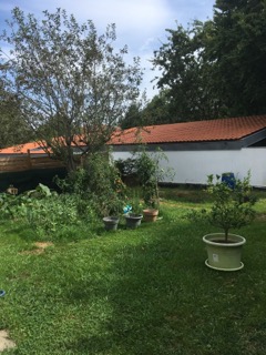 Location maison F5 Cambo les Bains - Photo 3