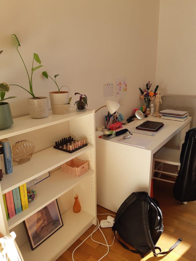 Location chambre Grenoble - Photo 3