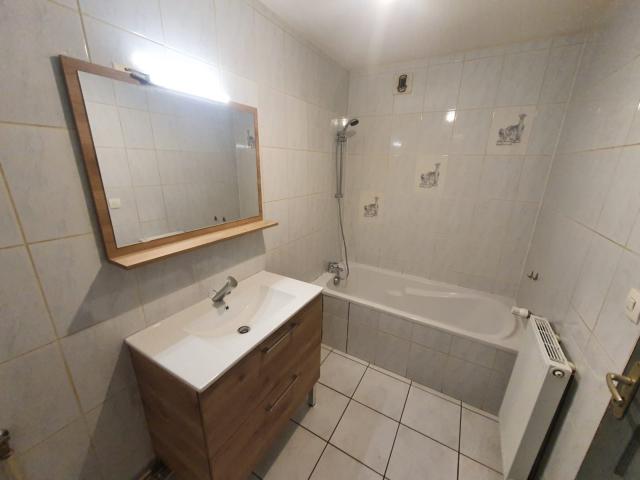Location appartement T2 Belfort - Photo 4