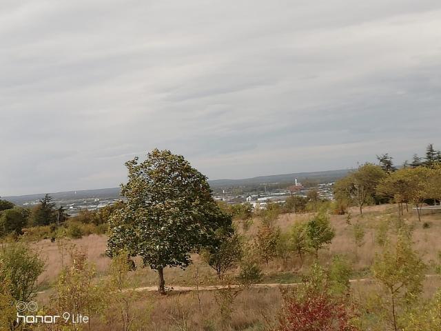 Location maison F6 Toulouse - Photo 2